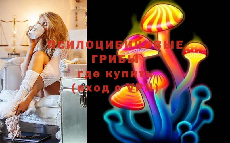 Псилоцибиновые грибы MAGIC MUSHROOMS  что такое   Шацк 