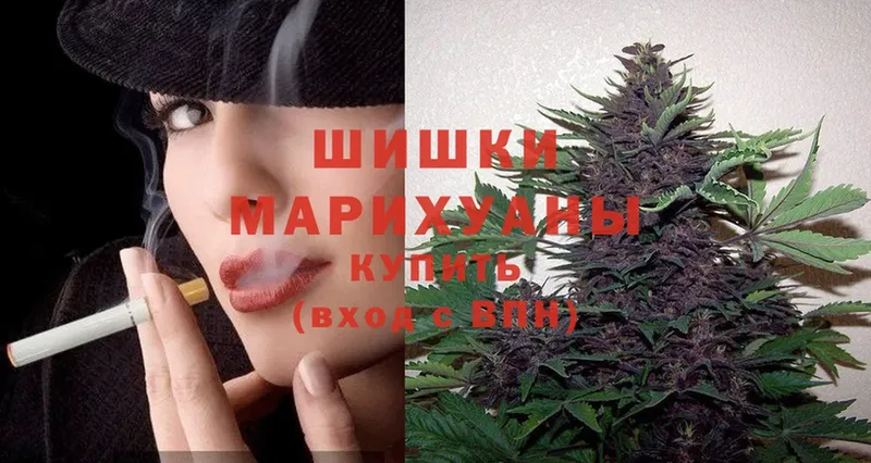 купить   Шацк  Бошки Шишки план 